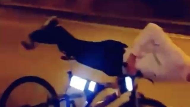 Barış, üzerine uzandığı bisiklet ile otomobile çarptı; hayatını kaybetti