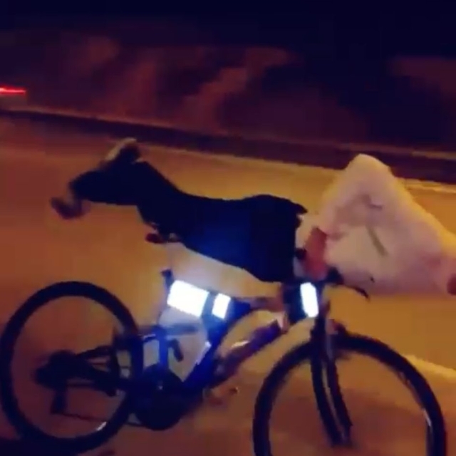 Barış, üzerine uzandığı bisiklet ile otomobile çarptı; hayatını kaybetti