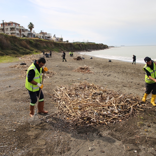 Arsuz ve Payas ilçelerinin kıyı şeridinde temizlik yapıldı
