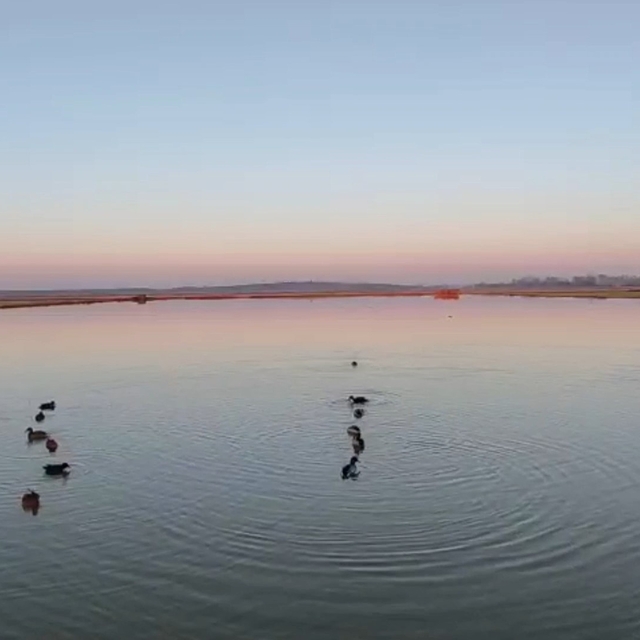 Uzunköprü'de kaçak avlanan 4 kişiye 762 bin TL ceza