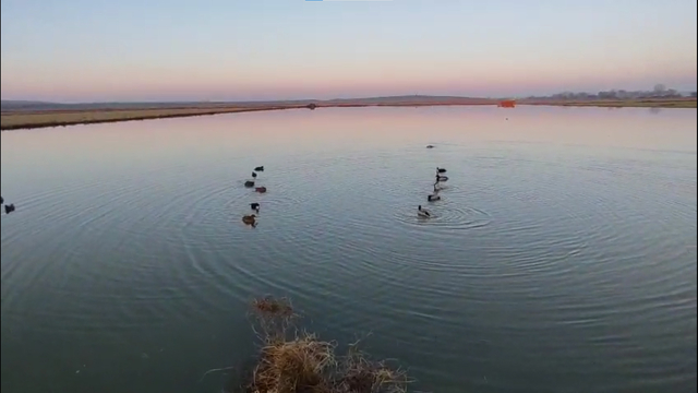 Edirne'de yasa dışı avlanan 4 avcıya 762 bin lira ceza