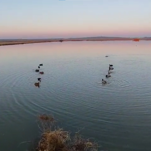 Edirne'de yasa dışı avlanan 4 avcıya 762 bin lira ceza