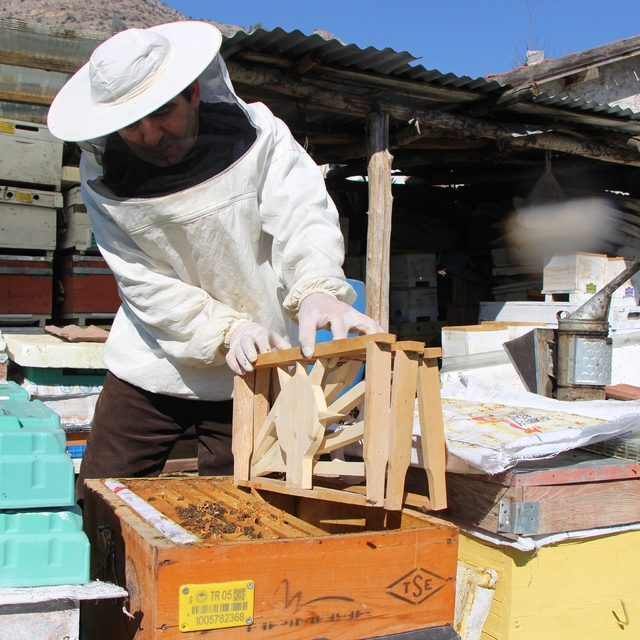 Bu seçimde kazananı 'arılar' belirleyecek
Petekleri partilerin amblemiyle ş...