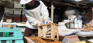 Bu seçimde kazananı 'arılar' belirleyecek
Petekleri partilerin amblemiyle ş...