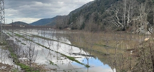 Elmanın başkenti Eğirdir'de yağış bereketi bahçeleri göle çevirdi
Tankerle...