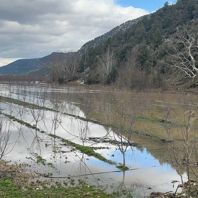 Elmanın başkenti Eğirdir'de yağış bereketi bahçeleri göle çevirdi
Tankerle...