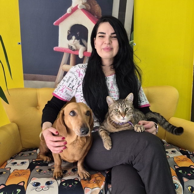 Veteriner kliniğindeki kedi ve köpek arasındaki ilginç dostluk
Sevimli kedi...