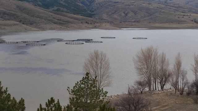 Kurumaya yüz tutan barajda doluluk oranı yüzde 50 seviyelerine yaklaştı
