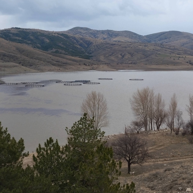 Kurumaya yüz tutan barajda doluluk oranı yüzde 50 seviyelerine yaklaştı