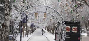 Erzurum'da soğuk havanın etkisiyle ağaçlar kırağı tuttu