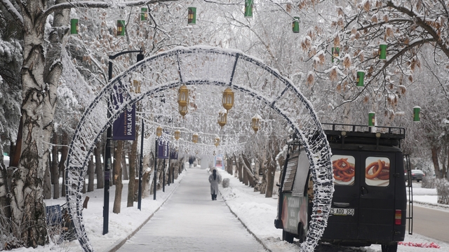 Erzurum'da soğuk havanın etkisiyle ağaçlar kırağı tuttu