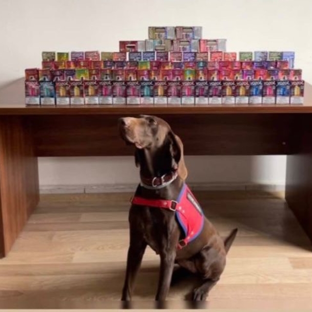 Bolu'da kaçak sigara operasyonunda 1 zanlı yakalandı