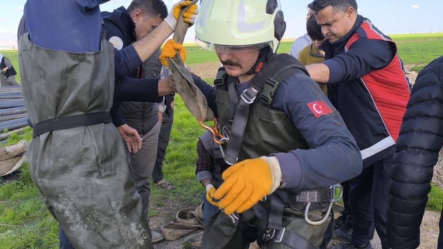 Kuyuya düşen inek itfaiye ekiplerince kurtarıldı