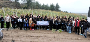 SUBÜ öğrencileri fidanları toprakla buluşturdu