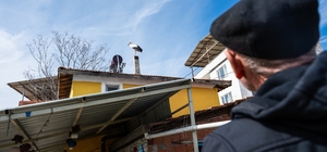 Yaren leyleğin eşi Nazlı geldi