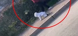 Bursa'da iki kadın dilencinin yanlarındaki bebeğe rağmen yer kavgası kamera...