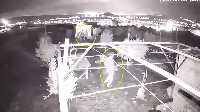 Osmaniye'de güvercin hırsızlığı kamerada