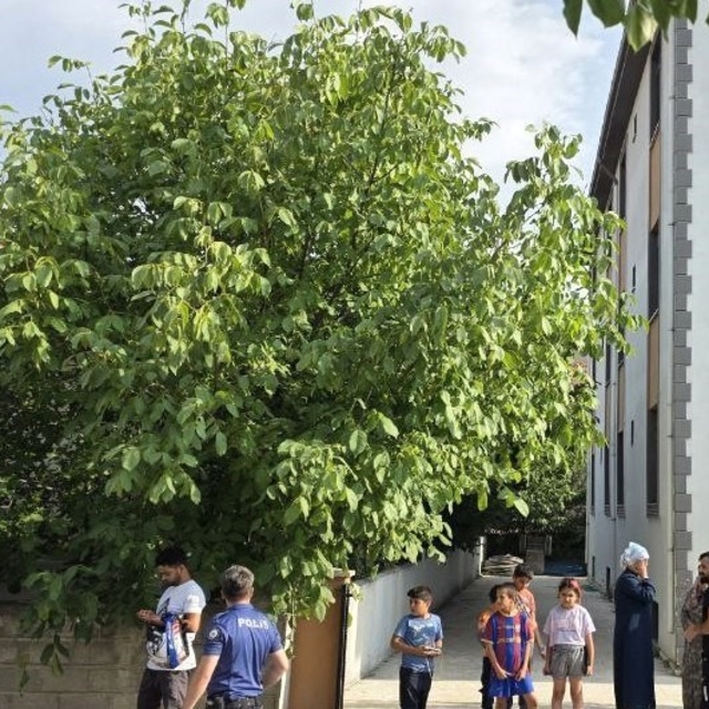 3 aylık yaşam mücadelesi son buldu
Erzincan'da üçüncü kattan düşen genç kad...