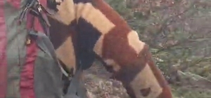 Kuş gözlemi için çıktığı arazide ayı ile karşı karşıya kaldı... Korku dolu...