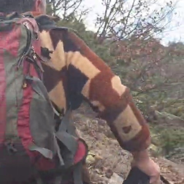 Kuş gözlemi için çıktığı arazide ayı ile karşı karşıya kaldı... Korku dolu...