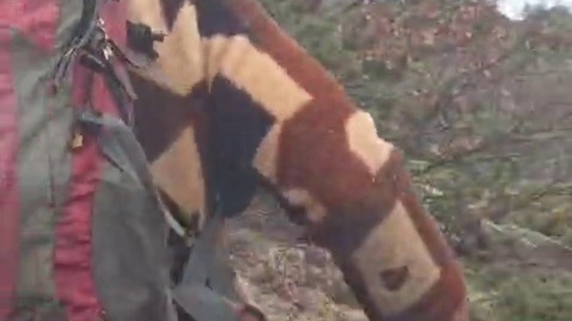 Kuş gözlemi için çıktığı arazide ayı ile karşı karşıya kaldı... Korku dolu anlar kamerada