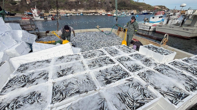 Kırklarelili balıkçılar, Karadeniz'de 6 saatte 30 ton hamsi avladı