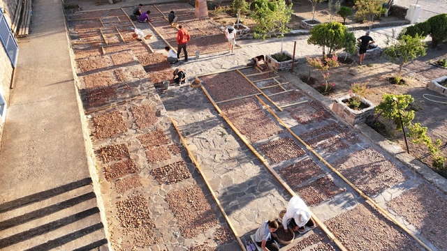 Aigai'da Demeter Tapınağı'nda 3 bin hydriskos gün yüzüne çıkarıldı