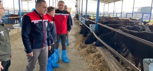 Devlet desteğiyle işini büyüten işletmeler incelendi