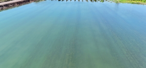 Adana'da sel suları tarım arazilerini sular altında bıraktı
Sular altında k...