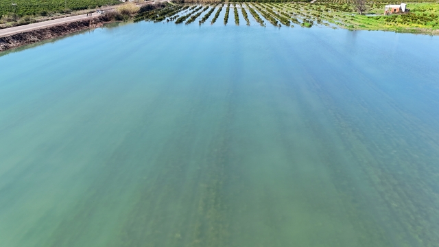 Adana'da sel suları tarım arazilerini sular altında bıraktı
Sular altında kalan tarım arazileri havadan görüntülendi
Yüreğir Ziraat Odası Başkanı Mehmet Akın Doğan:
"Çatalan Barajı'nın gövdesi 10 metre daha yükseltilmiş olsaydı, bugün bu sorunlar yaşanmazdı"