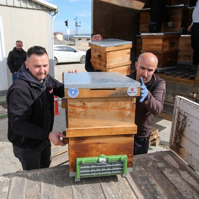 Kırsal üretime kovan desteği