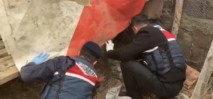 Jandarma, kümese saklanan uyuşturucuyu ele geçirdi: 2 gözaltı