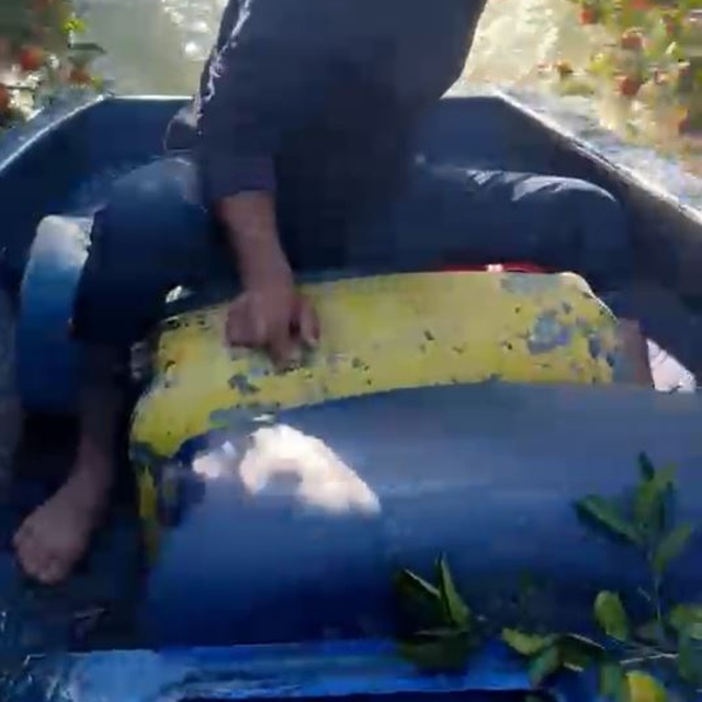 Sular altında kalan bahçesine kayıkla ulaştı