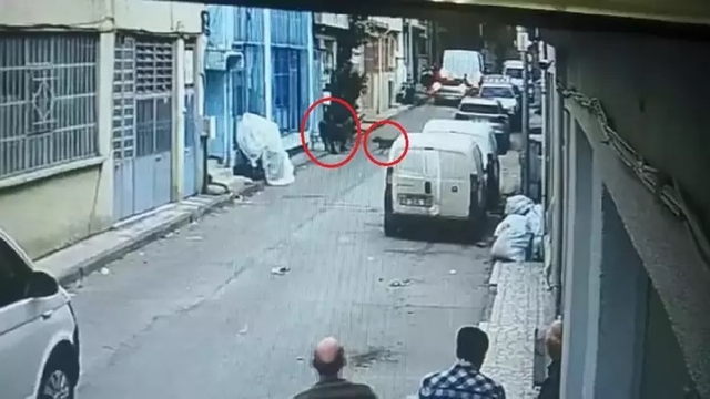 Pitbul ile saldırı davasında 3 sanığa indirimli hapis cezası