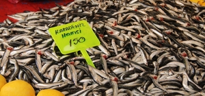 Menteşe pazarında hamsi ucuzladı