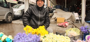 Nergisler Menteşe pazarına renk katıyor