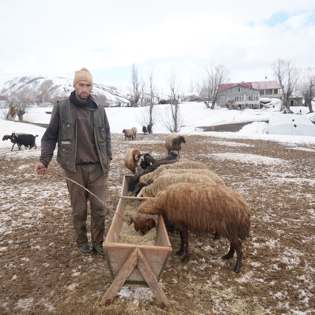 Muş'ta kış ve bahar aynı anda yaşanıyor