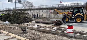 Rize'de fırtına
Fırtına nedeniyle devrilen ağaç şehir içi ulaşımın aksaması...