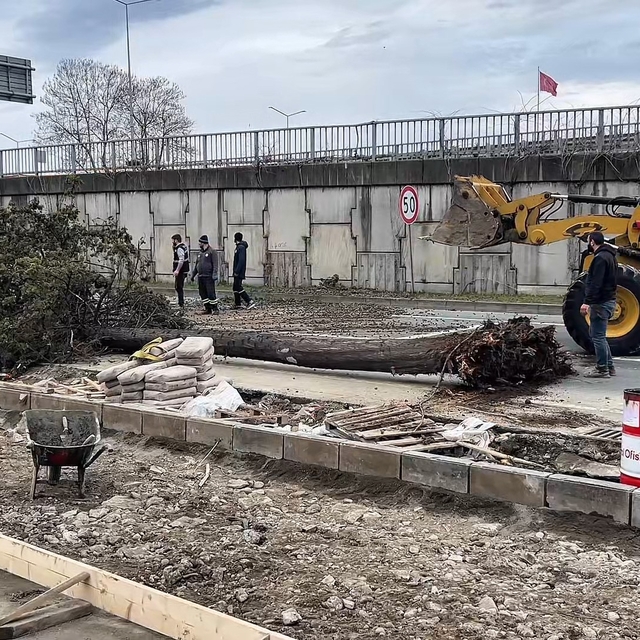 Rize'de fırtına
Fırtına nedeniyle devrilen ağaç şehir içi ulaşımın aksaması...