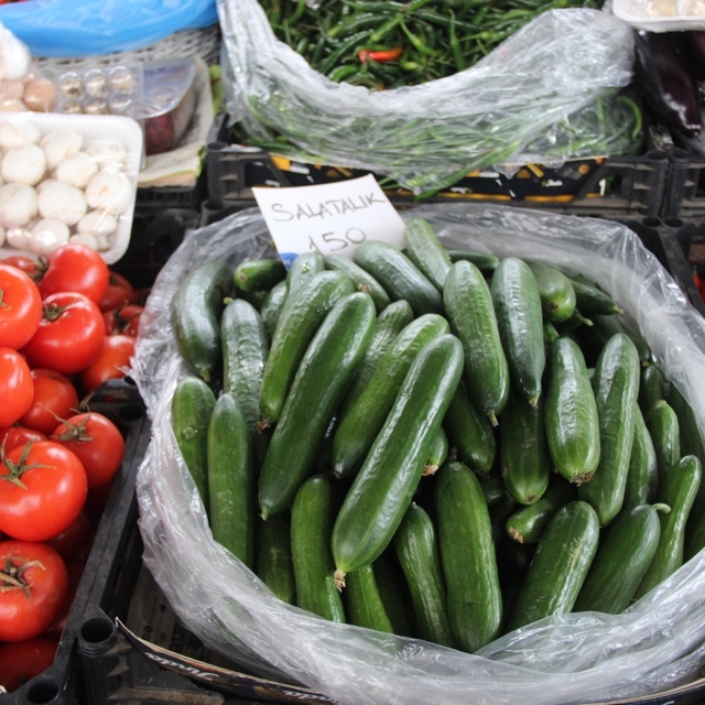 Seralar zarar gördü, Muğla'da salatalık rekor fiyata ulaştı