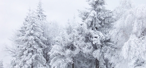 Erzincan için kuvvetli kar yağışı uyarısı