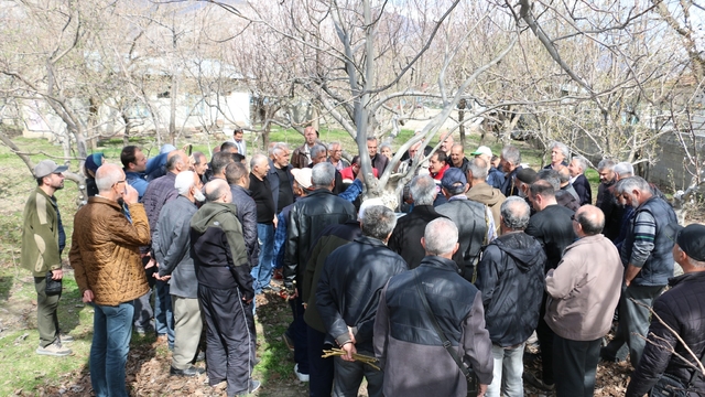 Erzincan'da meyve ağaçlarında budama eğitimi düzenlenecek