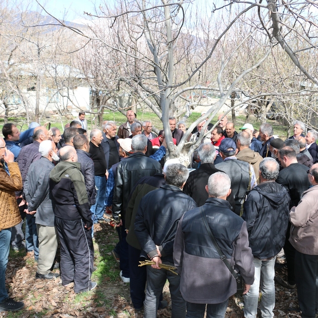 Erzincan'da meyve ağaçlarında budama eğitimi düzenlenecek