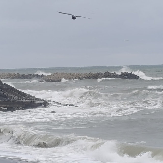 Düzce'de kuvvetli rüzgar nedeniyle dalga boyu 3 metreye ulaştı