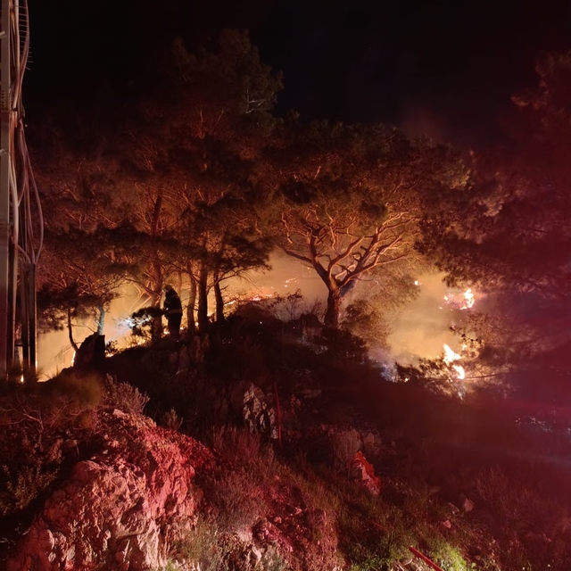 Bodrum'da ormanda çıkan yangın söndürüldü