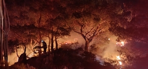 Bodrum'da ormanlık alanda çıkan yangın söndürüldü