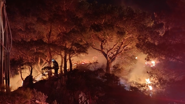 Bodrum'da ormanlık alanda çıkan yangın söndürüldü