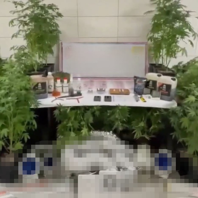 Bursa'da uyuşturucu operasyonu: 1 gözaltı