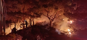 Bodrum'da ormanlık alanda yangın: 2 dönüm alan zarar gördü