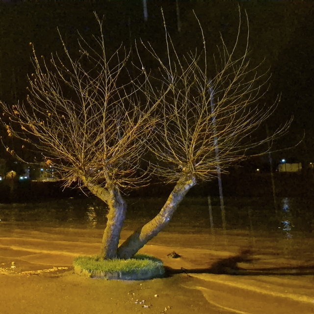 Bartın'da sağanak ve dolu yağışı ırmağı taşırdı